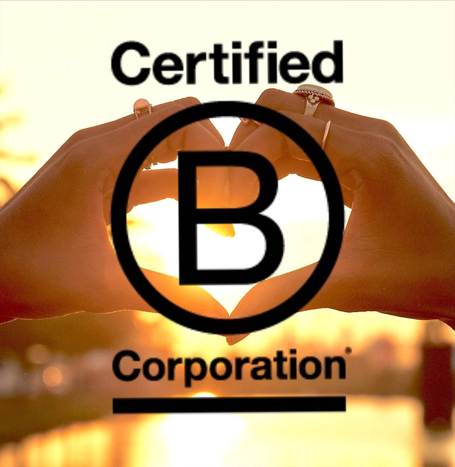 Mamma Chia Organic Seeds, White, 12 Ounce (Pack of 1). USDA Organic, Non-Gmo, Vegan, Gluten Free, and Kosher.