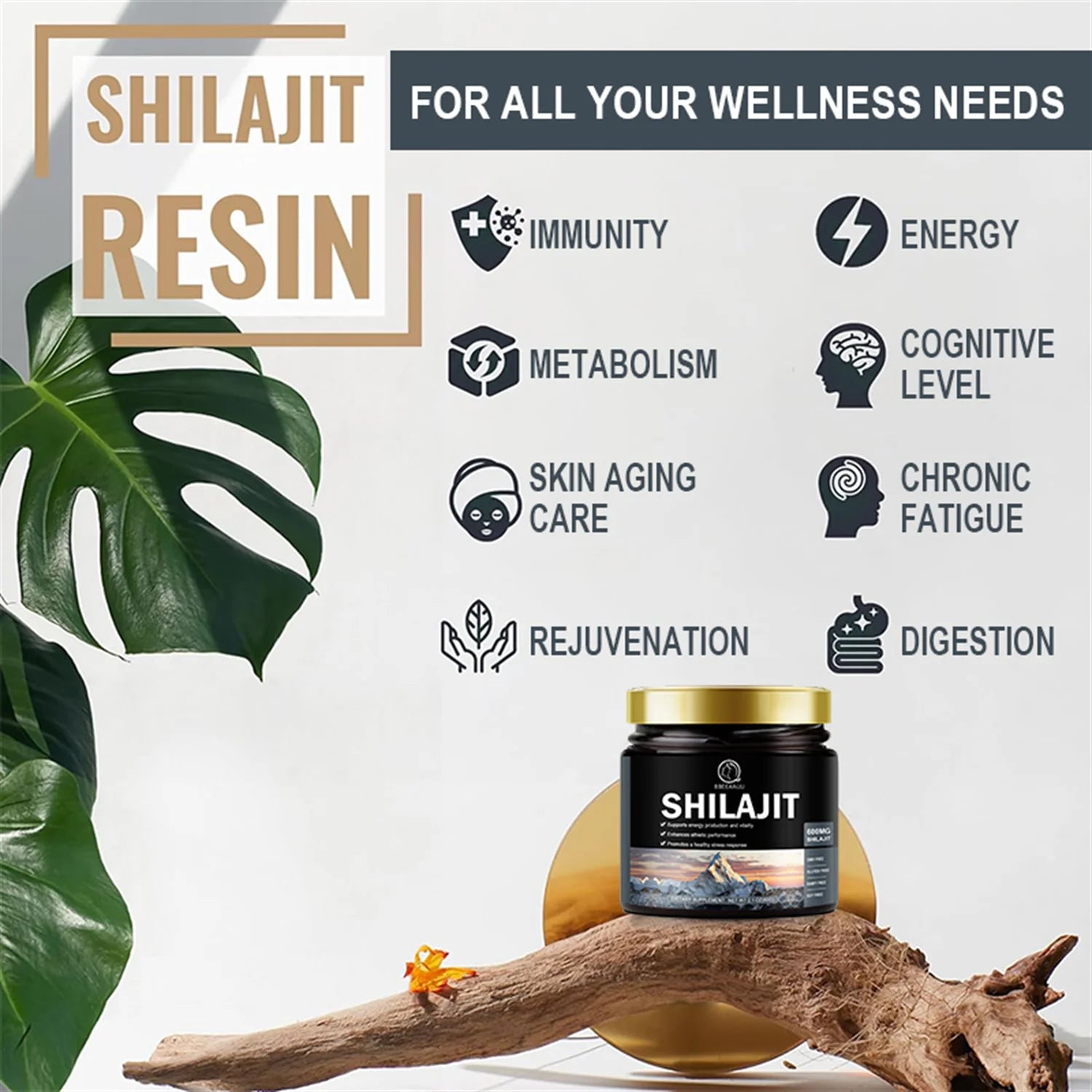 (2 Pack) Beau 600Mg Shilajit Supplement - Pure Himalayan Organic Shilajit Resin with Maximum Potency - Support for Energy, Immunity - 120G (4.2 Oz)