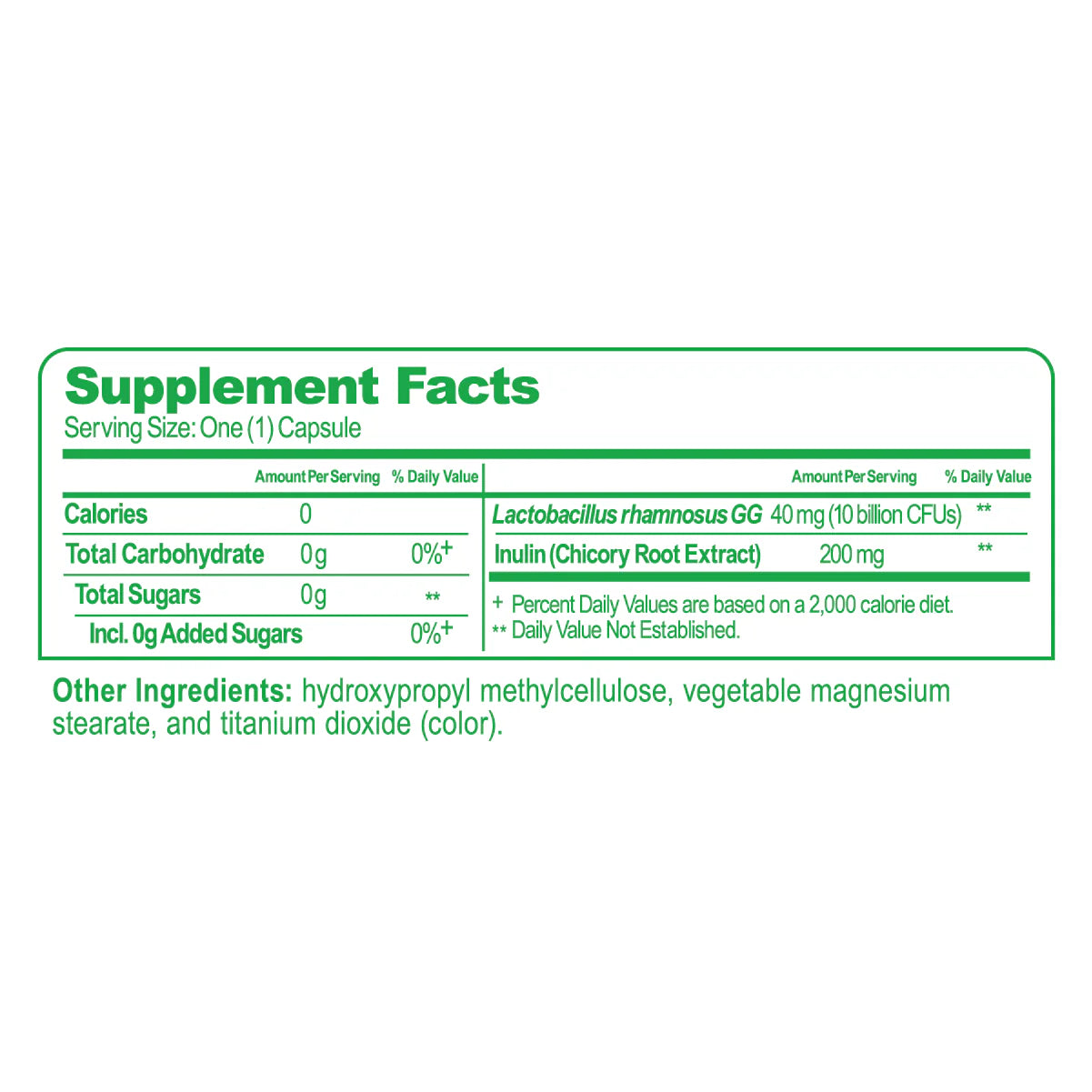 Digestive Daily Probiotic Capsules