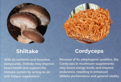 Mushroom Power Complex 10-In-1 Nootropic Dietary Supplement for Gut Microbiome, Focus, Energy & Vitality - 60 Capsules