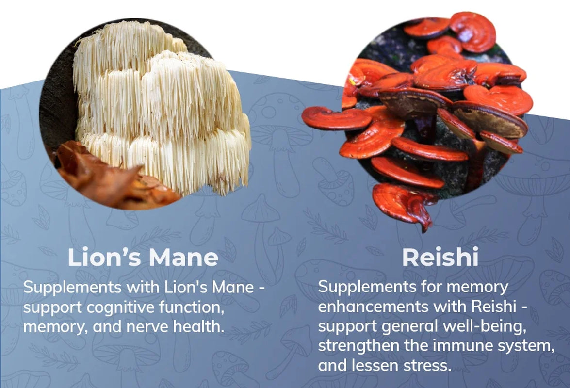 Mushroom Power Complex 10-In-1 Nootropic Dietary Supplement for Gut Microbiome, Focus, Energy & Vitality - 60 Capsules