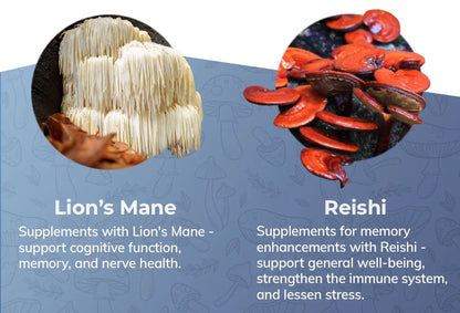 Mushroom Power Complex 10-In-1 Nootropic Dietary Supplement for Gut Microbiome, Focus, Energy & Vitality - 60 Capsules