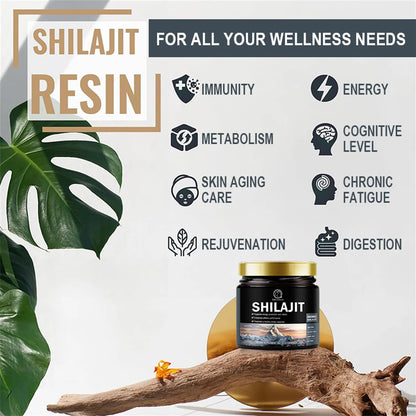 (2 Pack) Beau 600Mg Shilajit Supplement - Pure Himalayan Organic Shilajit Resin with Maximum Potency - Support for Energy, Immunity - 120G (4.2 Oz)