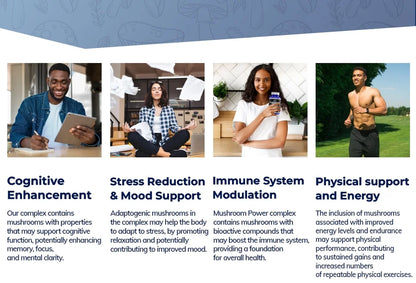 Mushroom Power Complex 10-In-1 Nootropic Dietary Supplement for Gut Microbiome, Focus, Energy & Vitality - 60 Capsules