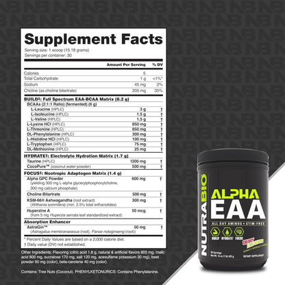 Nutrabio Alpha EAA - All-Day Amino Acids for Muscle Growth and Hydration - Essential Amino Acids with Nootropics & Adaptogens- Full Spectrum EAA BCAA Powder - 30 Servings - Cherry Lime Slush